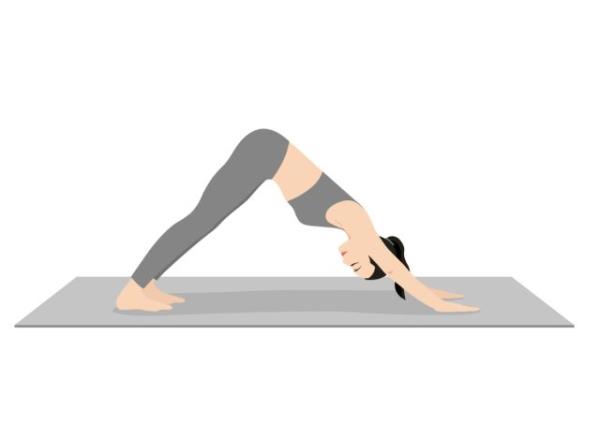 squat illustration
