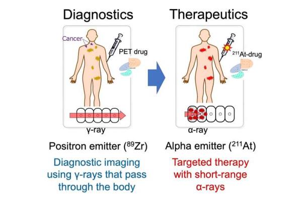 A powerful new tool in the fight against one of the deadliest cancers