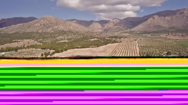 Santiaga Sánchez’s farm outside Chirivel