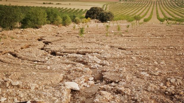 Erosion scars on co<em></em>nventional farmland caused by extreme stormwater runoff. 
