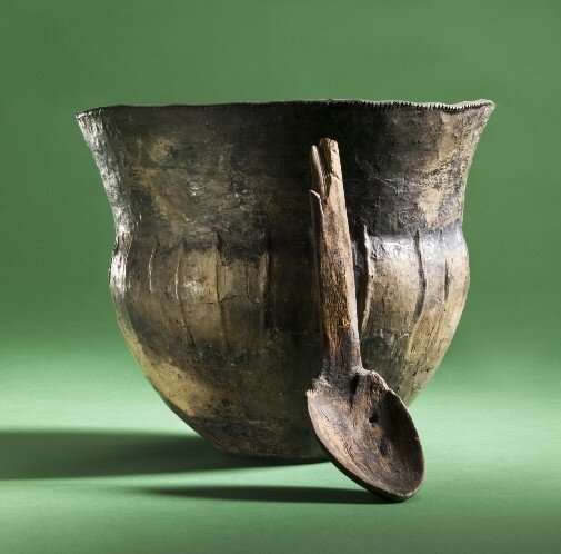 Surf and turf: Early farmers on the Baltic coast bucked New Stone Age trends and incorporated fish into their diets