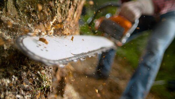 Farmers urged to review safety standards of chainsaws 