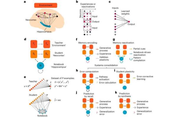 New theory better explains how the brain stores memories