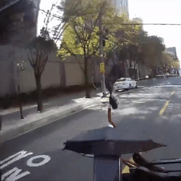 An excerpt from the victim’s dashboard camera footage showing the moment of the attack (o<em></em>nline community Bobaedream)