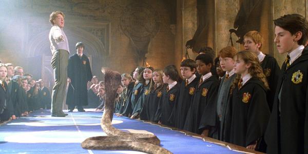 Harry and Gilderoy Lockhart stare down a snake in Harry Potter and the Chamber of Secrets