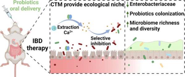 Helping 'good' gut bacteria and clearing out the 'bad,' all in one treatment